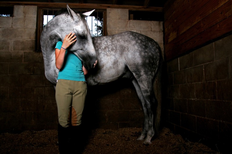 equestrian