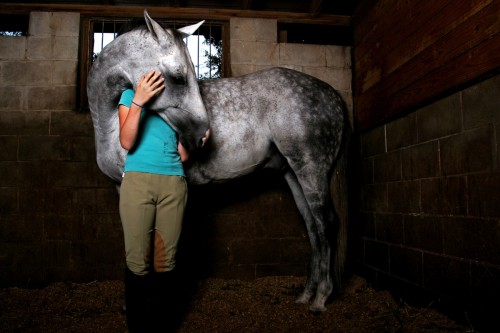 equestrian