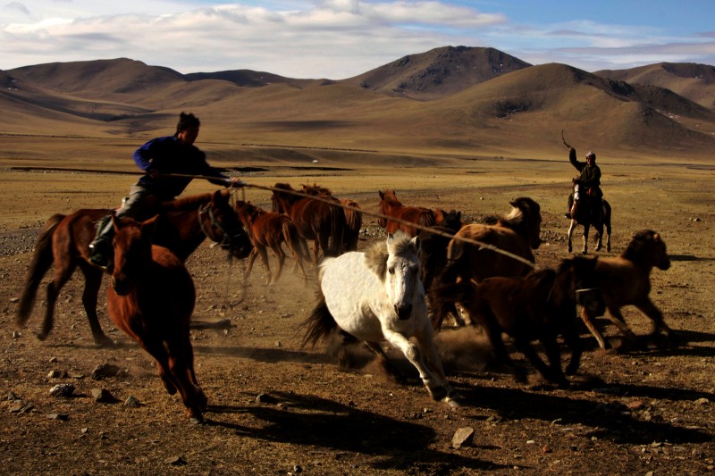 mongolia