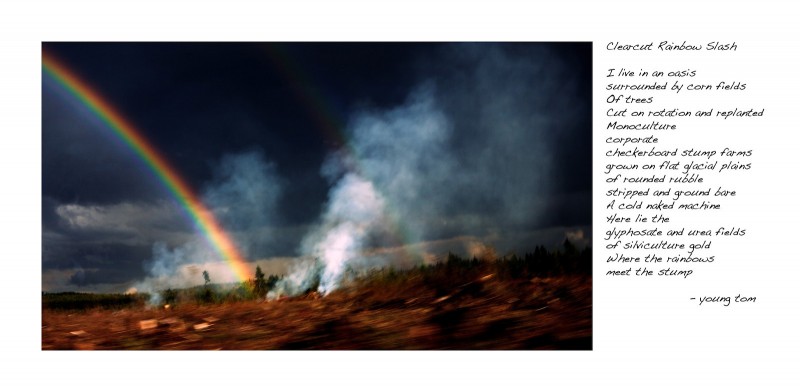 Clearcut Rainbow Slash