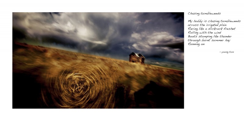 Chasing tumbleweeds