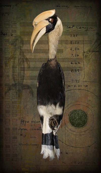 tonningsen_bc57
