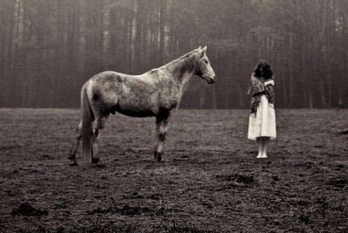lori vrba - safekeeping