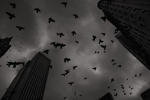 Left Behind