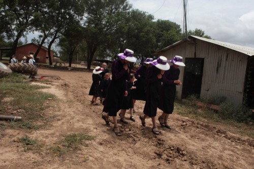 lisa wiltse - the mennonites of manitoba, bolivia