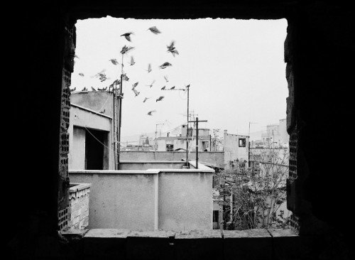 Nicosia in Dark and White