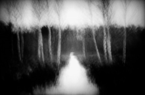 filip przewozny – distances