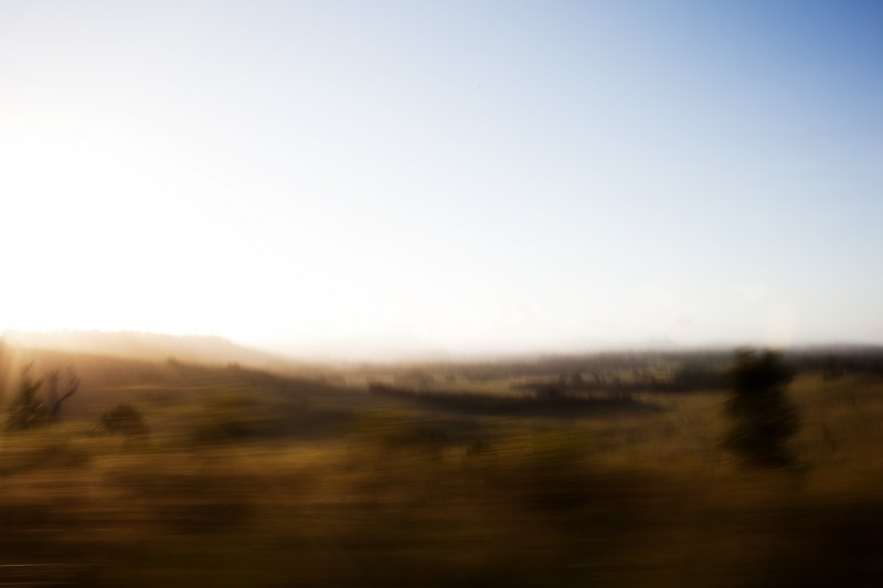 payne_nsw_9827