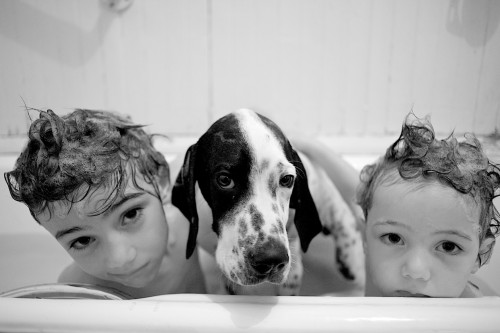 juliette mills - brothers