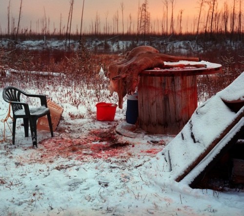 aaron vincent elkaim_fort mckay