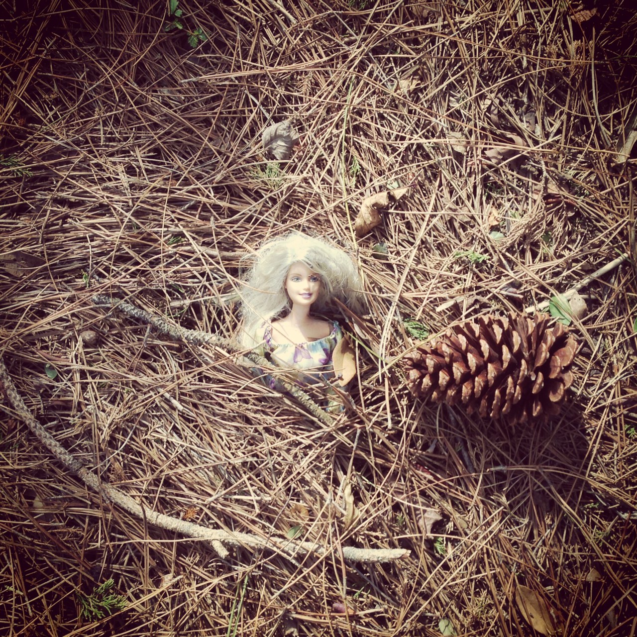 barbiephoto