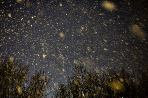 IN THE ABSENCE OF THINGS