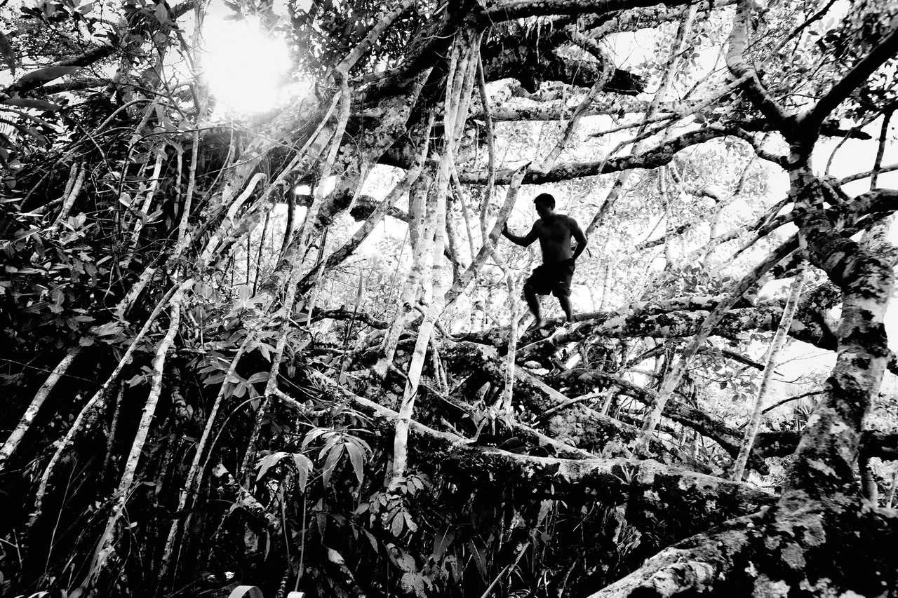 huaorani of ecuador essay huaorani of ecuador essay