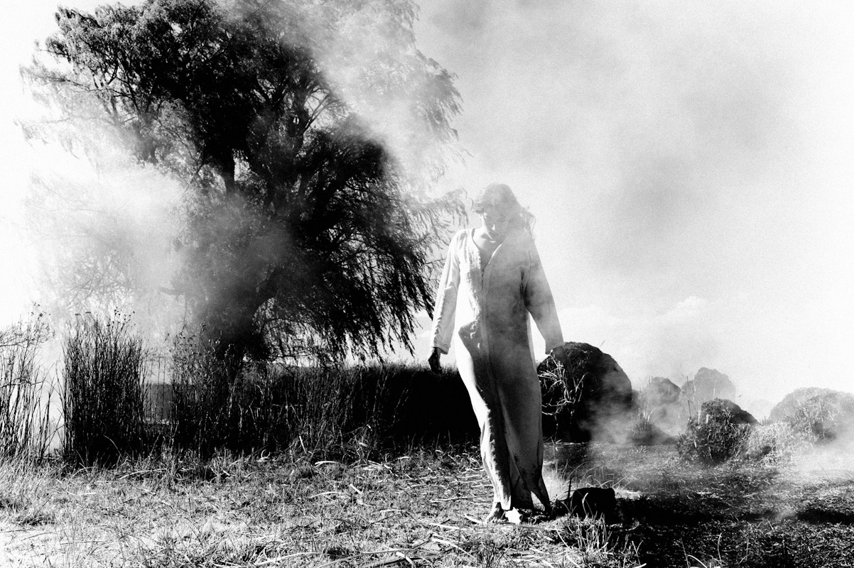 Essay virginia woolf exploring women