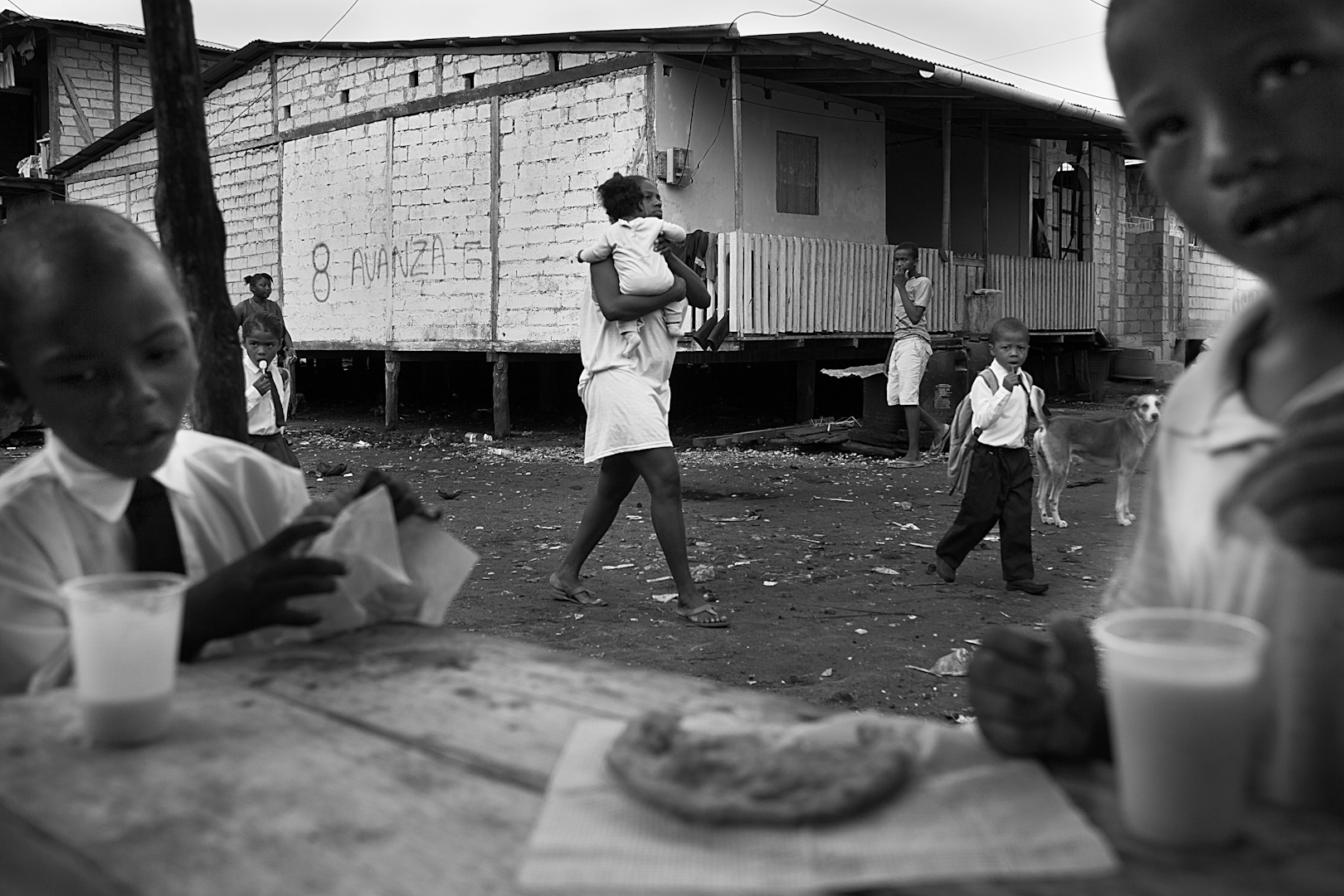 David caute alan ryan essay 04 picture